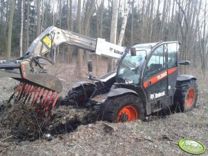 Bobcat TL360