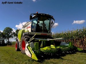 Claas Jaguar 930