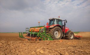 Massey ferguson 7495