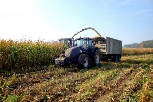 Valtra T171 + Fliegl Gigant i Claas Jaguar 870