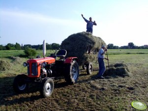 Zetor T-25k