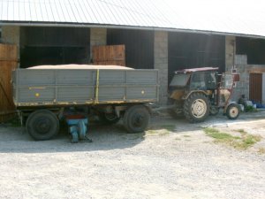 Ursus C-330 + Przyczepa D-50