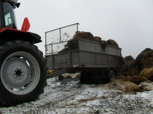 Rozrzutnik