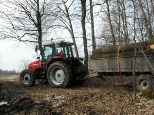 Massey Ferguson 6260 & rozrzutnik