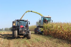 Valtra N92 i Claas Jaguar 840