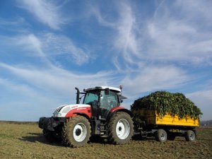 Steyr Profi 6140 + Wielton PRS-2/W8