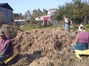 Przygotowywanie kozłka lekarskiego do płukania