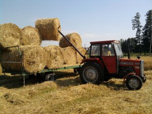 Massey Ferguson 255