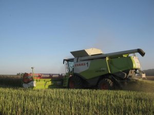 Claas Lexion 770 + Vario 1050