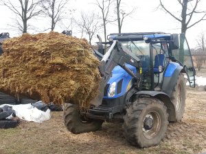 New Holland T6010