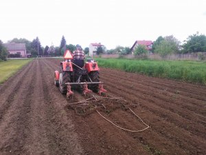 Ursus C-330 & pielniko-obsypnik