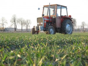 Massey Ferguson 255