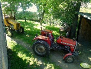 Massey Ferguson 255