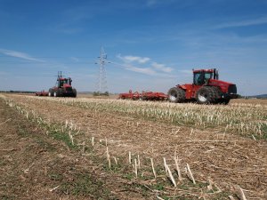 Case IH Steiger 385 + Horsch Tiger 6LT