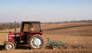 Massey Ferguson 255 & Kultywator + brony