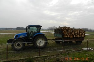 New Holland T6020