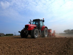 MF 6475 & Gaspardo MTE 6 BB