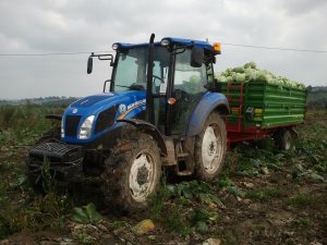 New Holland TD5.65 + Pronar 5t