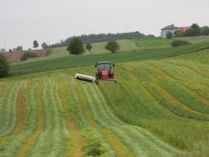 Massey Ferguson 5430 + Kuhn GMD 600 & JF Stoll