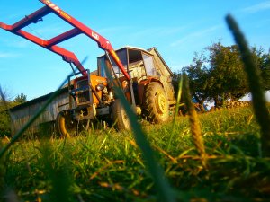 Ursus C-335 & Karuzela