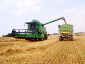 John Deere W540 + przyczepa