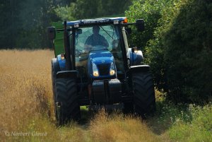 New Holland T6050