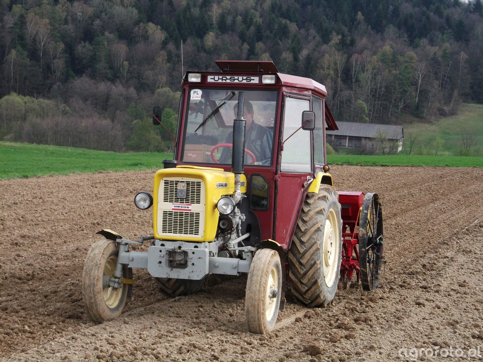 Zdjęcie Ciagnik Ursus C 330 Siewnik 496751 Galeria Rolnicza Agrofoto 1385