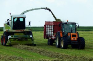 Renault 155.54 & Claas Jaguar 860