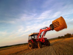 Zetor 7745 + iT 1650