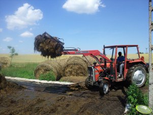 Massey-Ferguson 255 & TUR