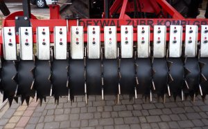 Dexwal żubr kombi + poznaniak 2,5