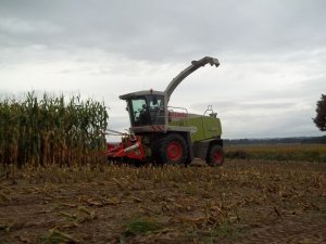 Claas Jaguar 830