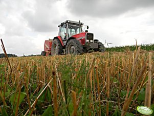 Massey Ferguson 3080 & Metal Fach Z-562