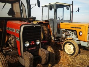 Ursus C-360 & MF 255