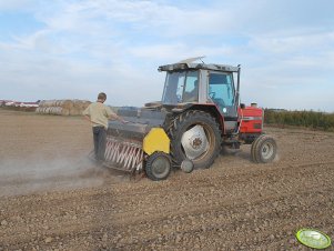 Massey Ferguson 3050 + Poznaniak