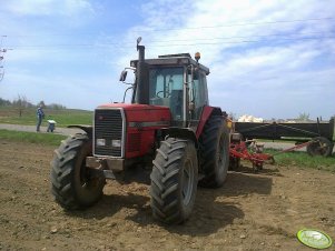 Massey Ferguson 3650 + Becker 6-rzędowy