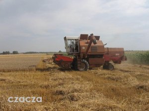 Bizon Rekord Z058