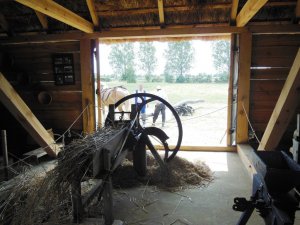 Retro żniwa 2013 w Muzeum Wsi Mazowieckiej w Sierpcu 04.08.2013