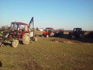 Massey Ferguson Zetor Case