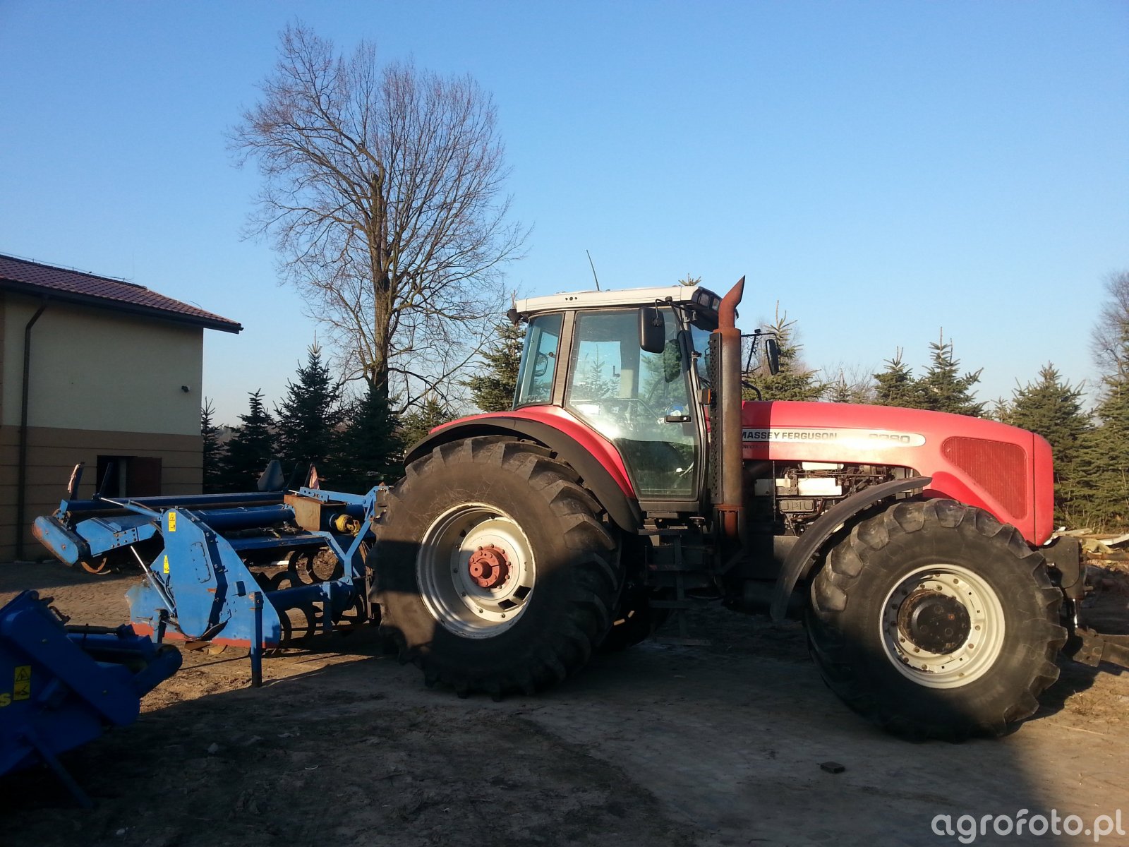 Obraz ciagnik Massey Ferguson 8280 id:490955 - Galeria rolnicza agrofoto