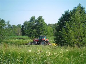 Massey Ferguson 5465