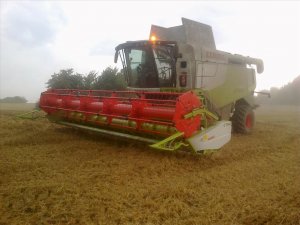 Claas Lexion 650