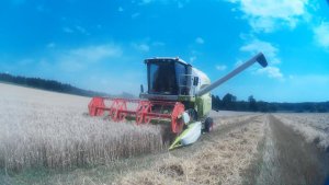 Claas Avero 160