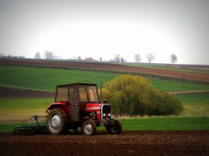 Massey Ferguson 255