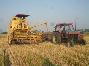 New Holland / Clayson M135 + Ursus 912