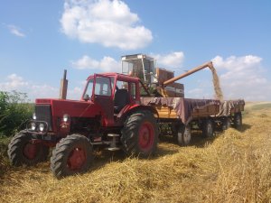 Mtz 82 i Bizon Z056