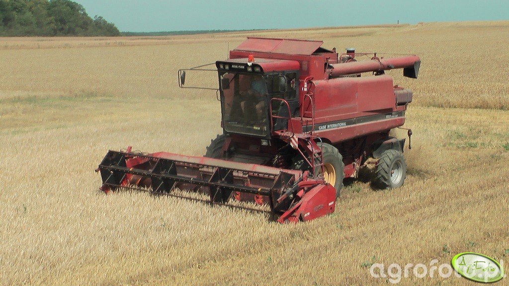 Case 1680 Case / International Agrofoto.pl Forum Rolnicze i Galeria