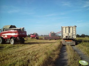 Case Axial-Flow 8010 x4