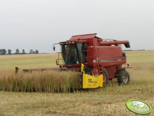 Case Axial - Flow 