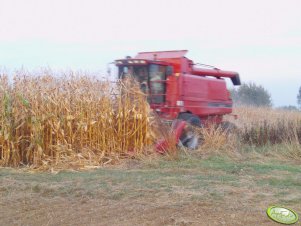 Case IH 2388 